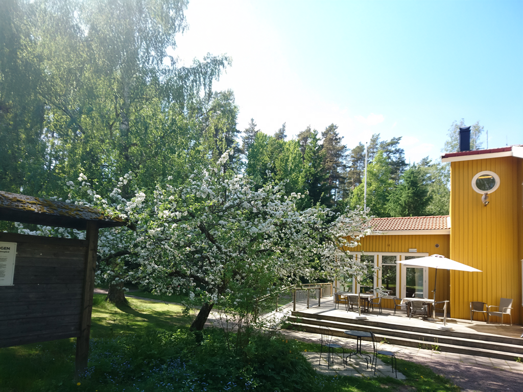 Ett blommande träd framför en gul byggnad med utemöbler