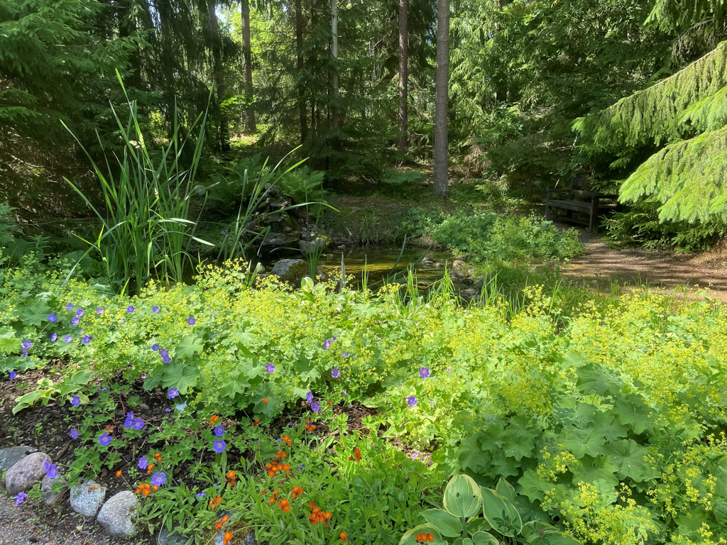Blommande rabatt och skog i en trädgårdsmiljö