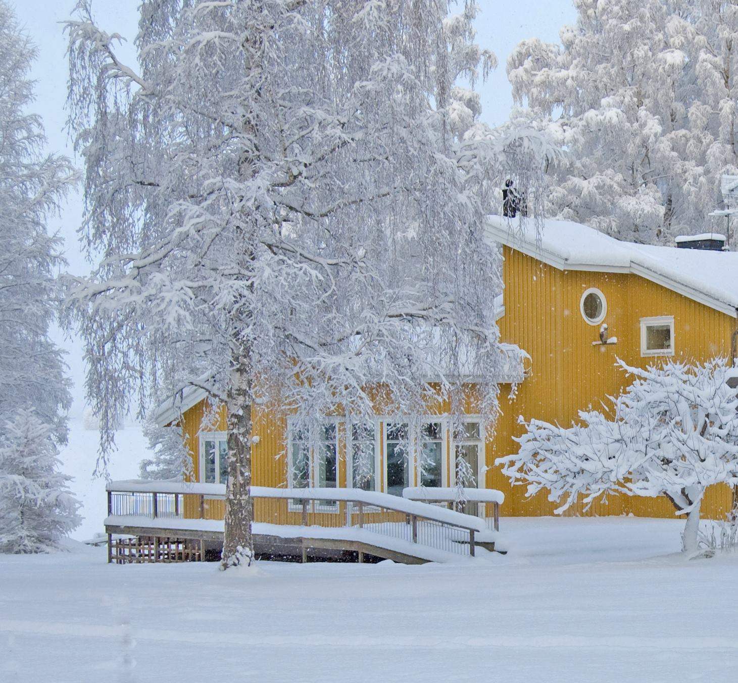 Tallkrogen en snöig dag